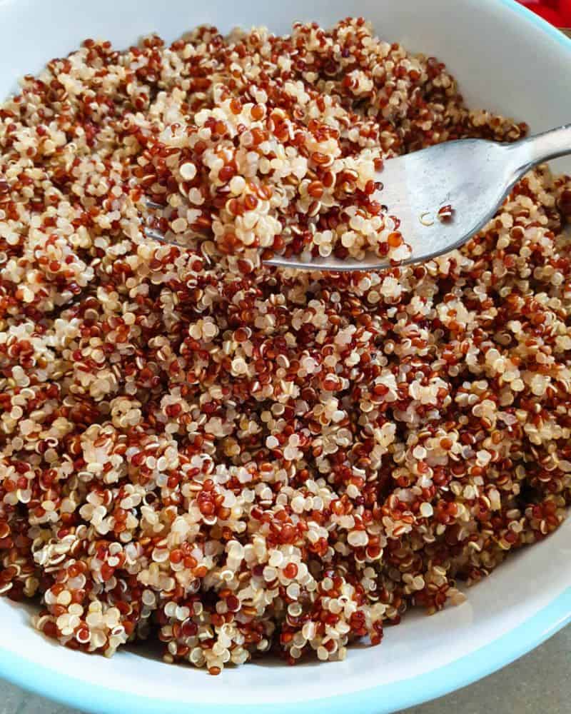 cooked fluffy quinoa in a bowl with a fork fluffing it up