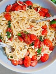 spaghetti tomato recipe