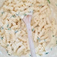 fusilli alfredo pasta