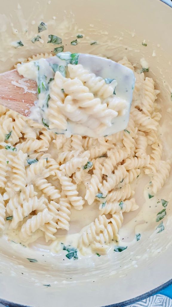 fusilli alfredo pasta