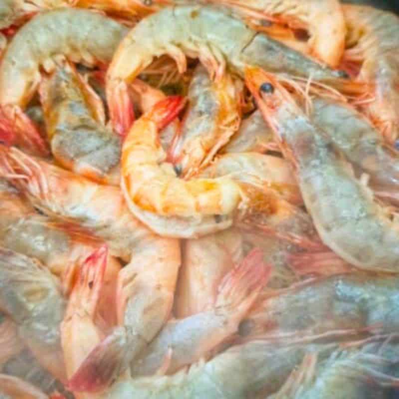 thawed prawns ready to be cooked