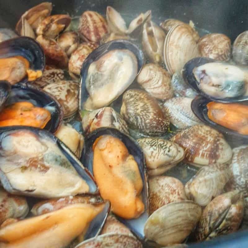 mussels and clams steaming in a pot