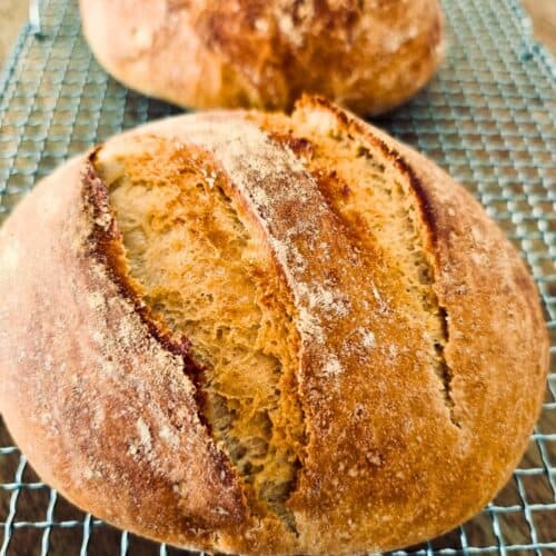 no knead homeamde bread