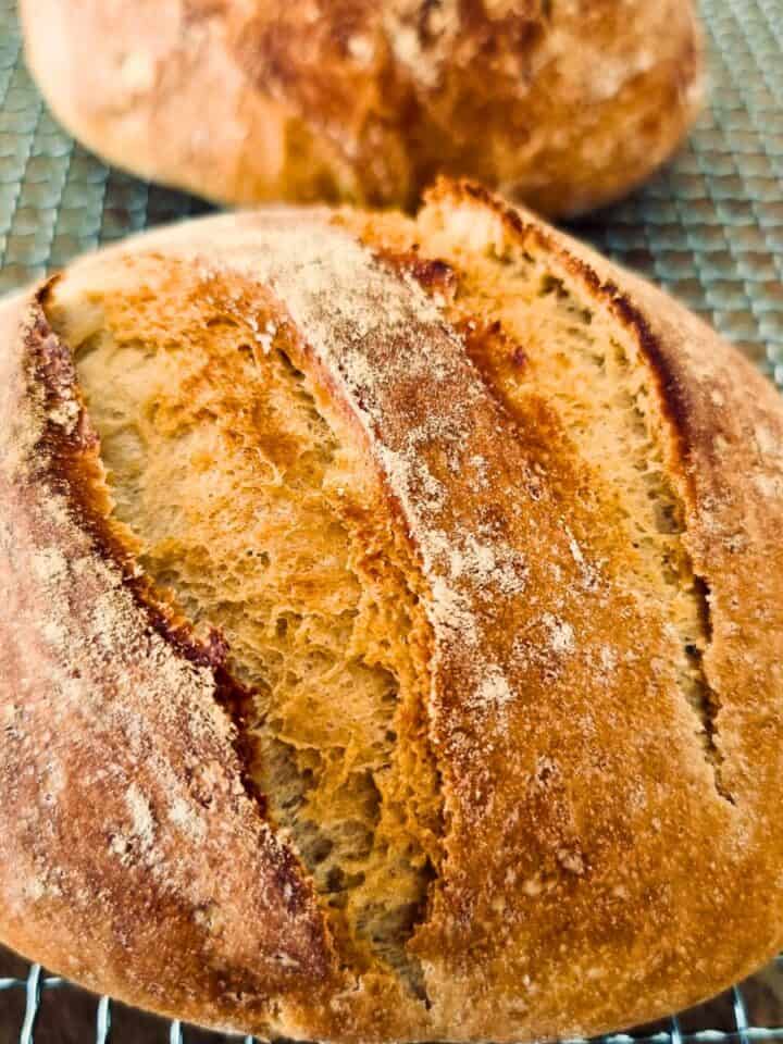 no knead homeamde bread