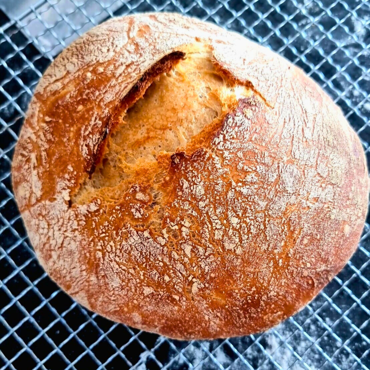 easy no knead bread recipe