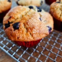 blueberry chocolate muffins