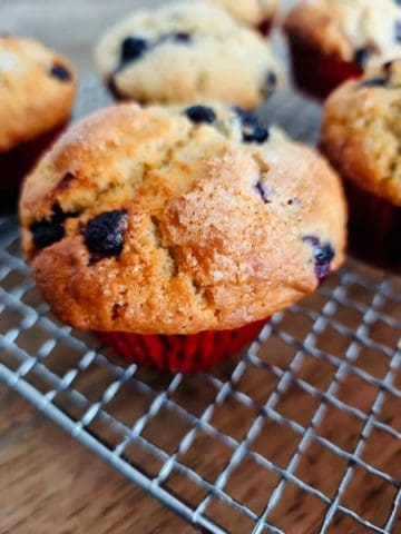 blueberry chocolate muffins