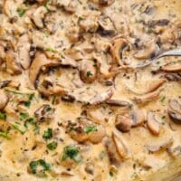 creamy mushroom sauce