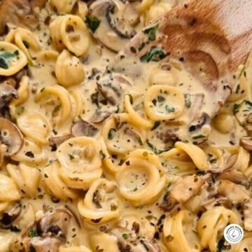 mushroom pasta recipe