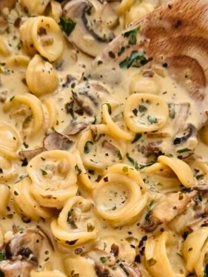 mushroom pasta recipe