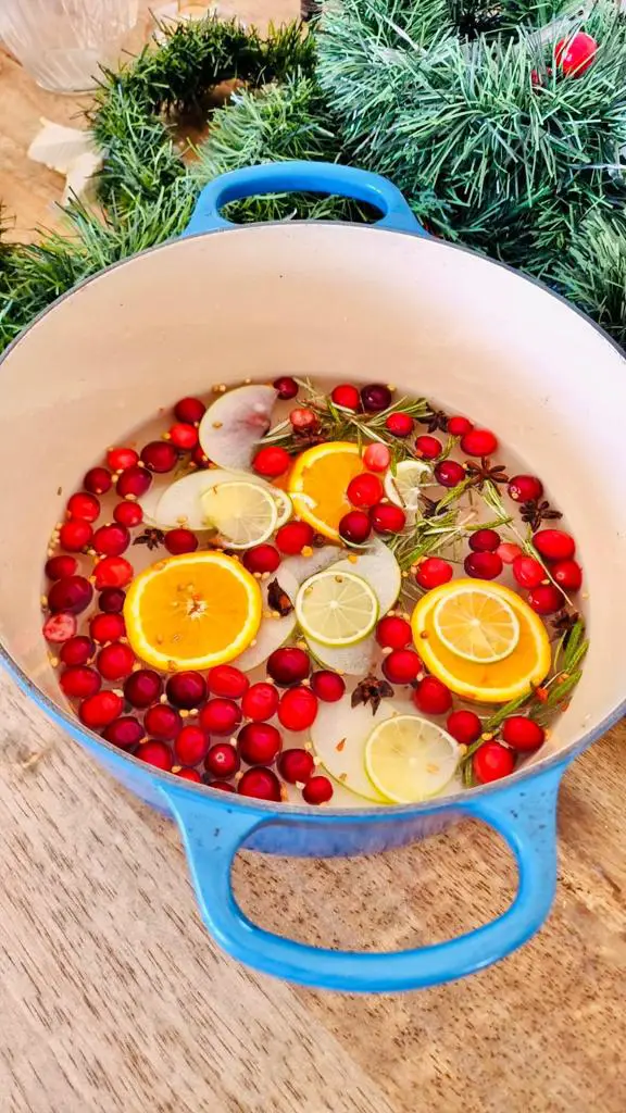 Christmas simmering pot recipe