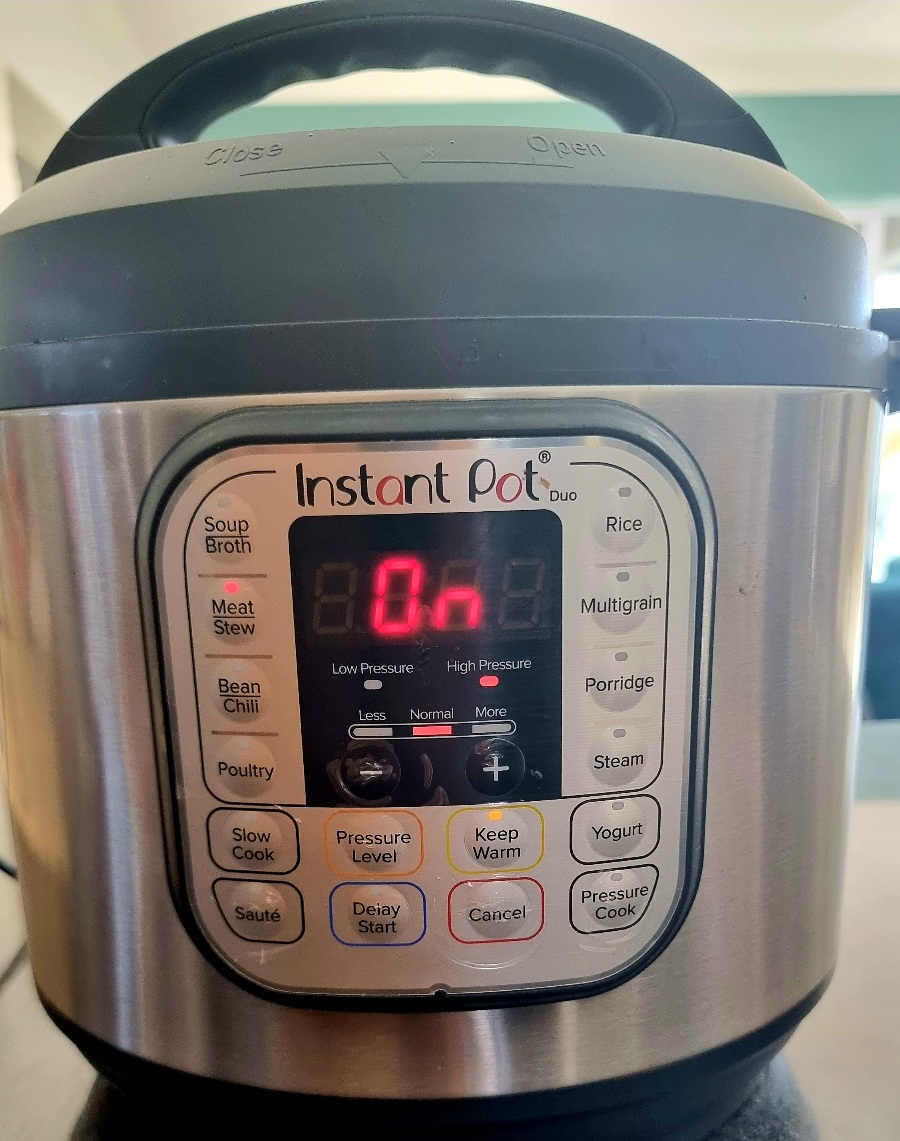 instant pot with the ON button 