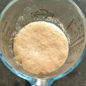 proofed yeast