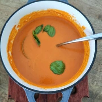 simply delicious tomato soup