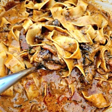 creamy beef ragu