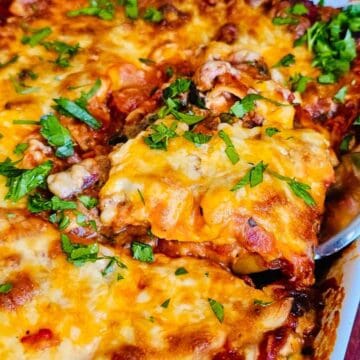 easy vegetable lasagna recipe