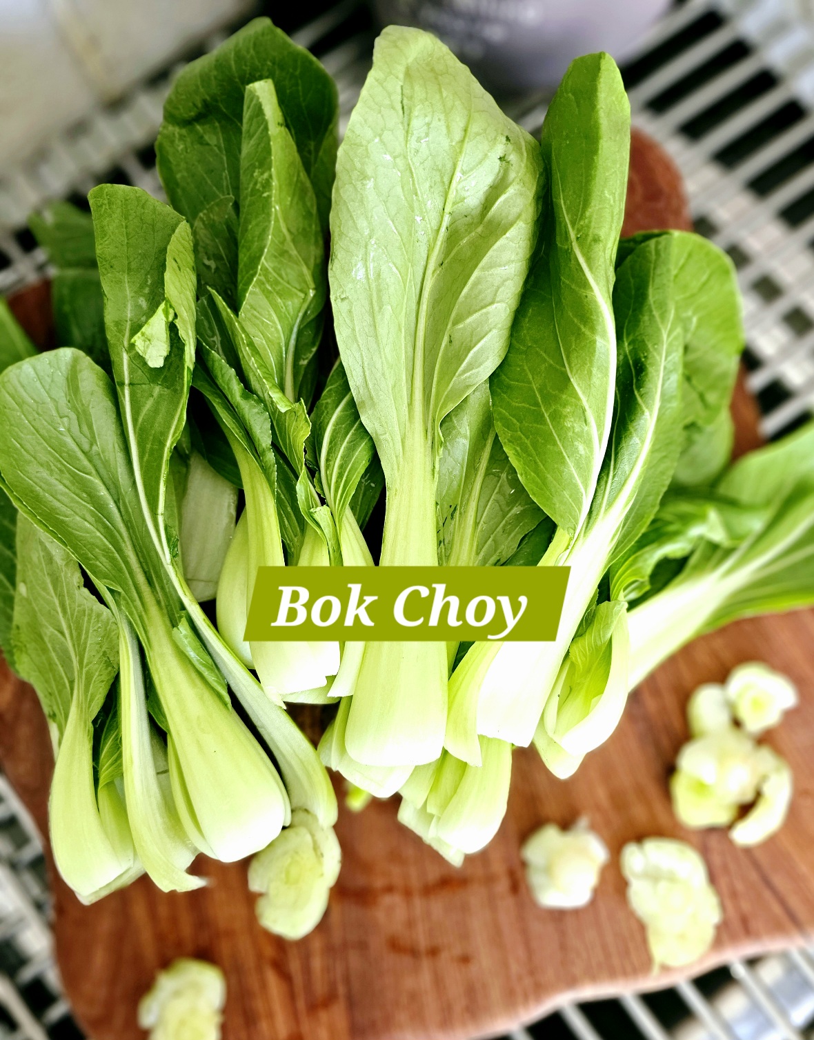 bok choy and fennel salad