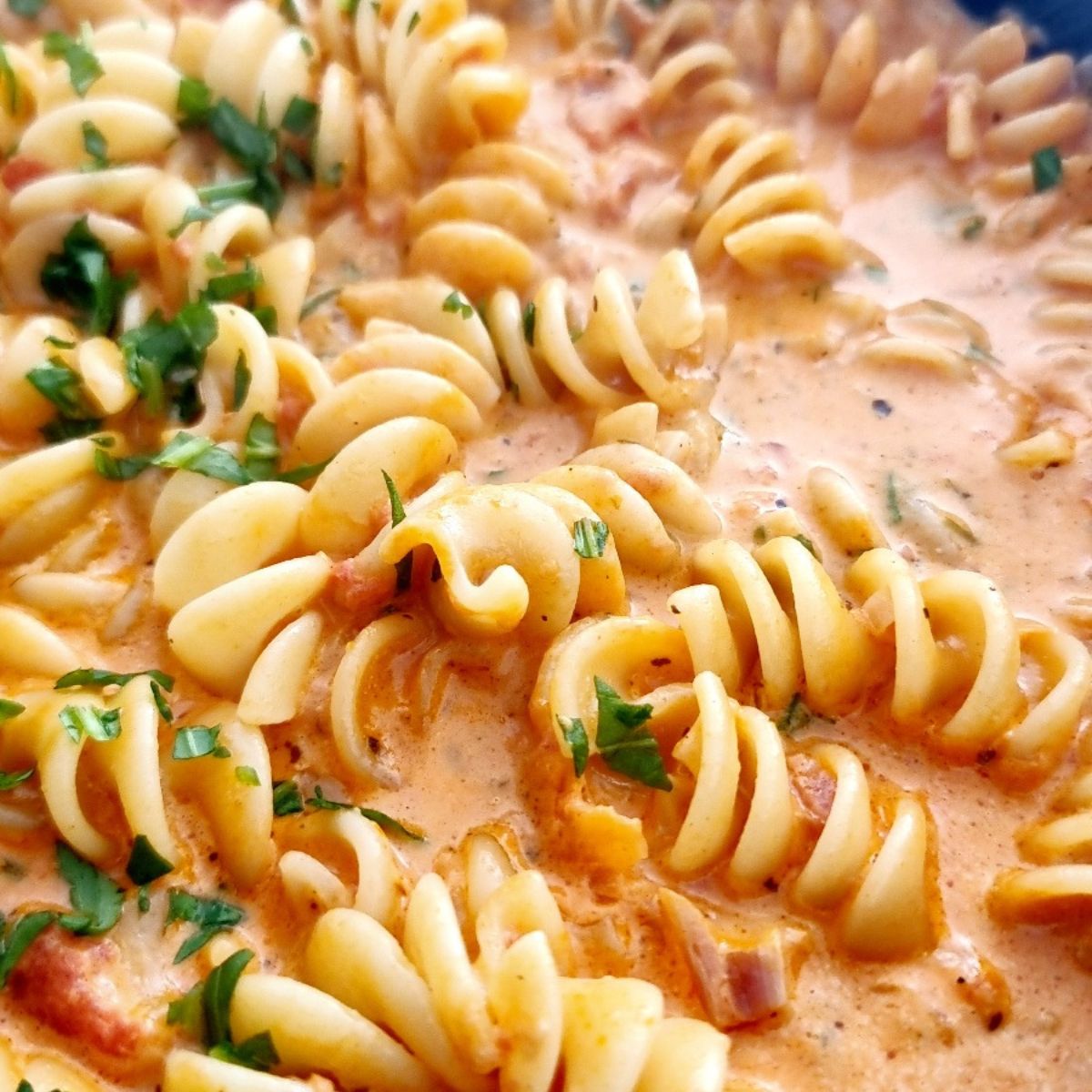 creamy chicken pasta sauce