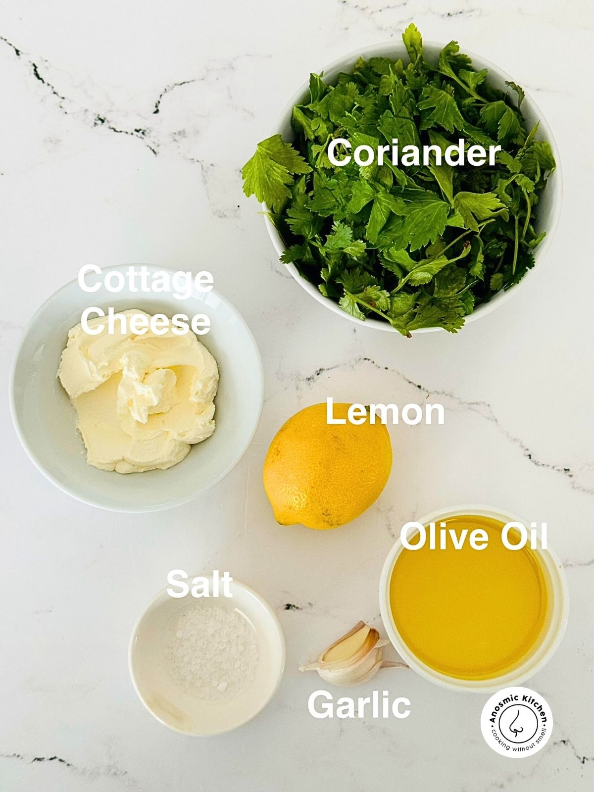 coriander sauce ingredients recipe