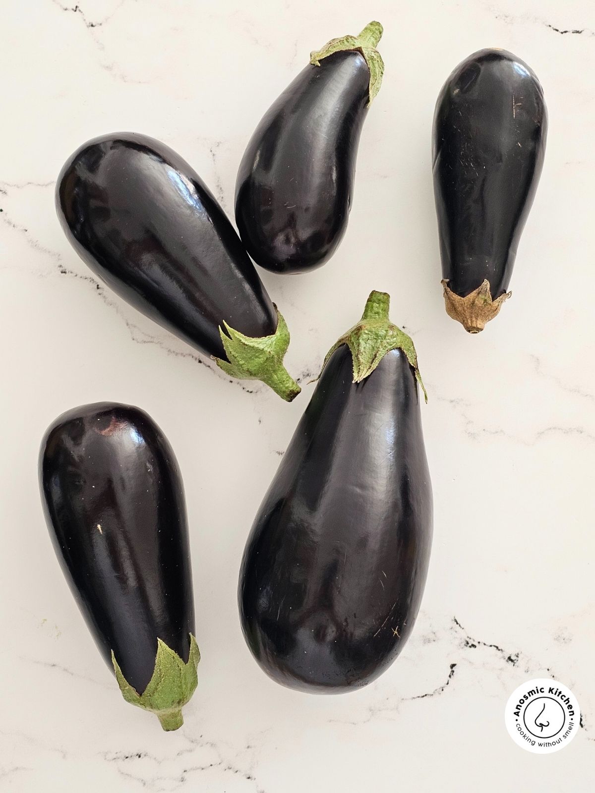 black beauty south african eggplants