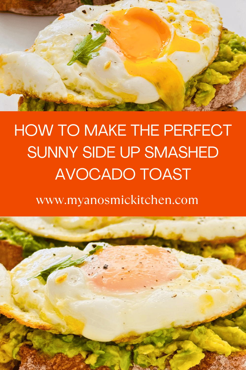 fried egg smashed avocado toast