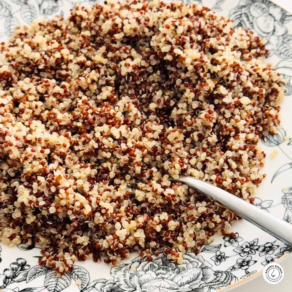 fluffy quinoa on a white and black floral plate with a fork digging into the quinoa