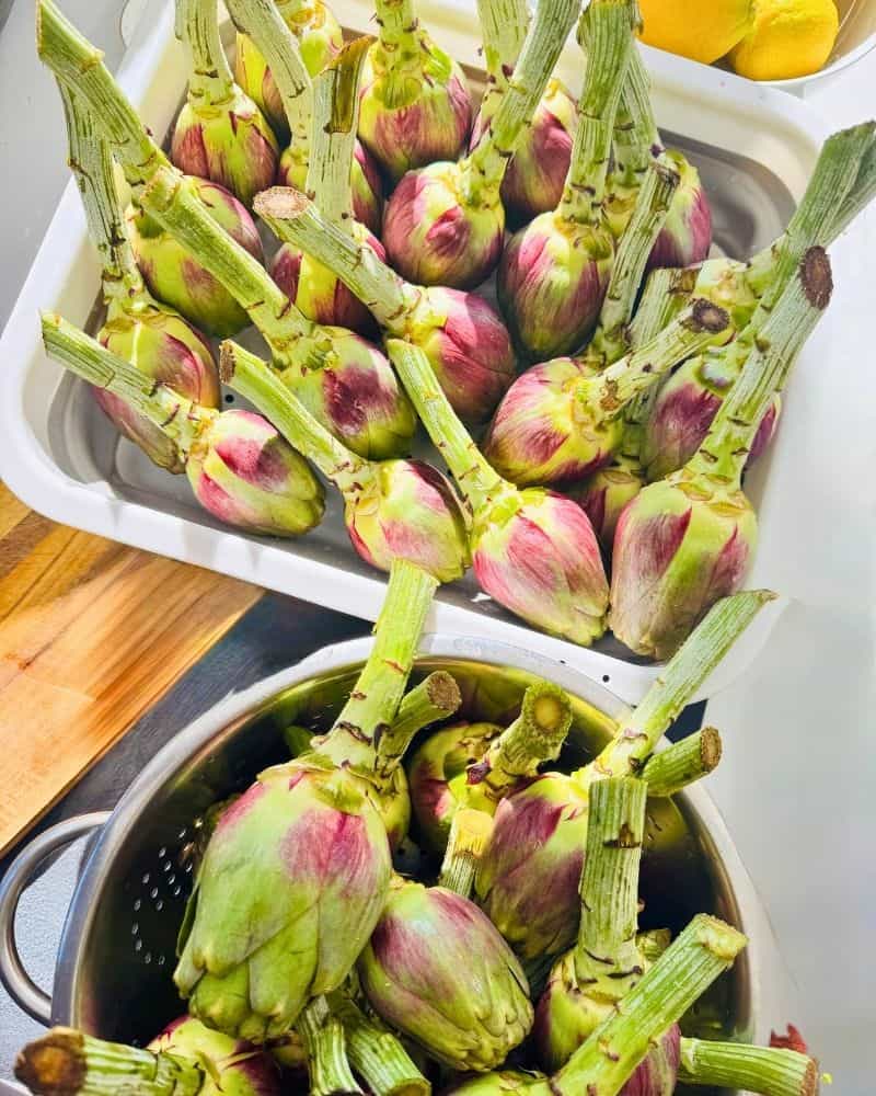 Cooked artichokes draining upside down on racks.