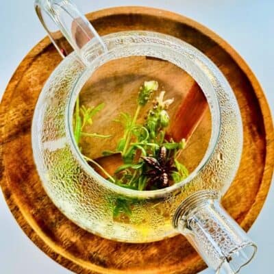 Lavender cinnamon star anise tea in a cup, a calming herbal blend for relaxation